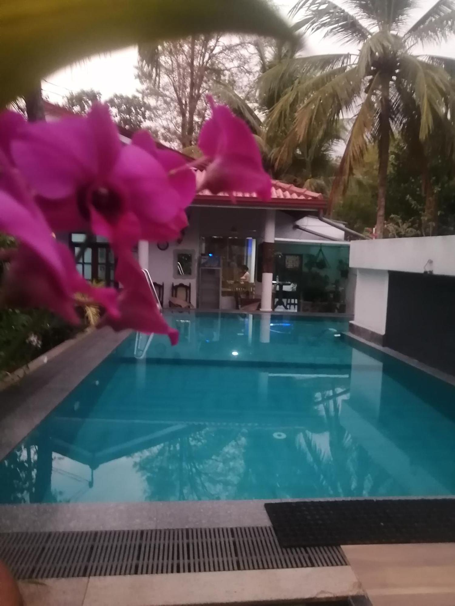 Appartamento Ibis Udawalawe Esterno foto